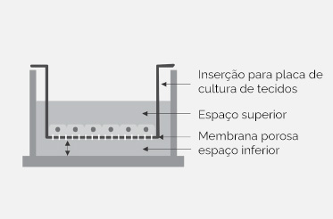 cellwell-caracteristicas2