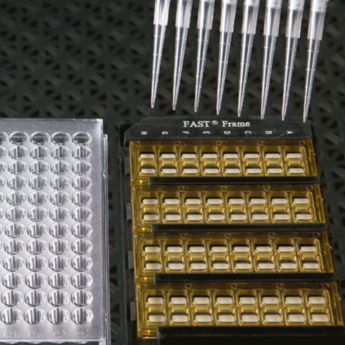 FAST™ - Microarrays Proteicos